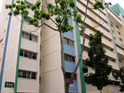 Blk 854 Tampines Ville (Tampines), HDB 4 Rooms #606816891